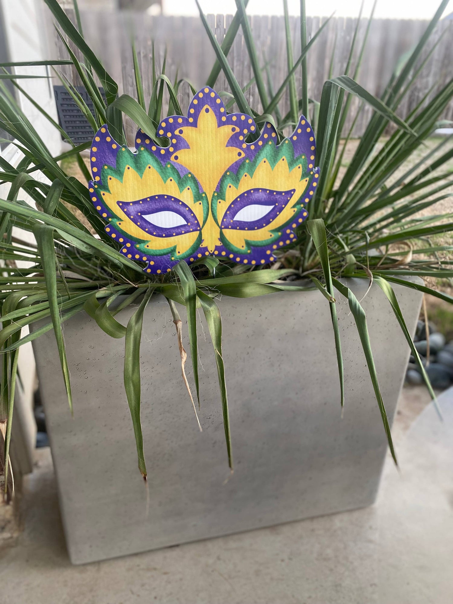 Mardi Gras Mask