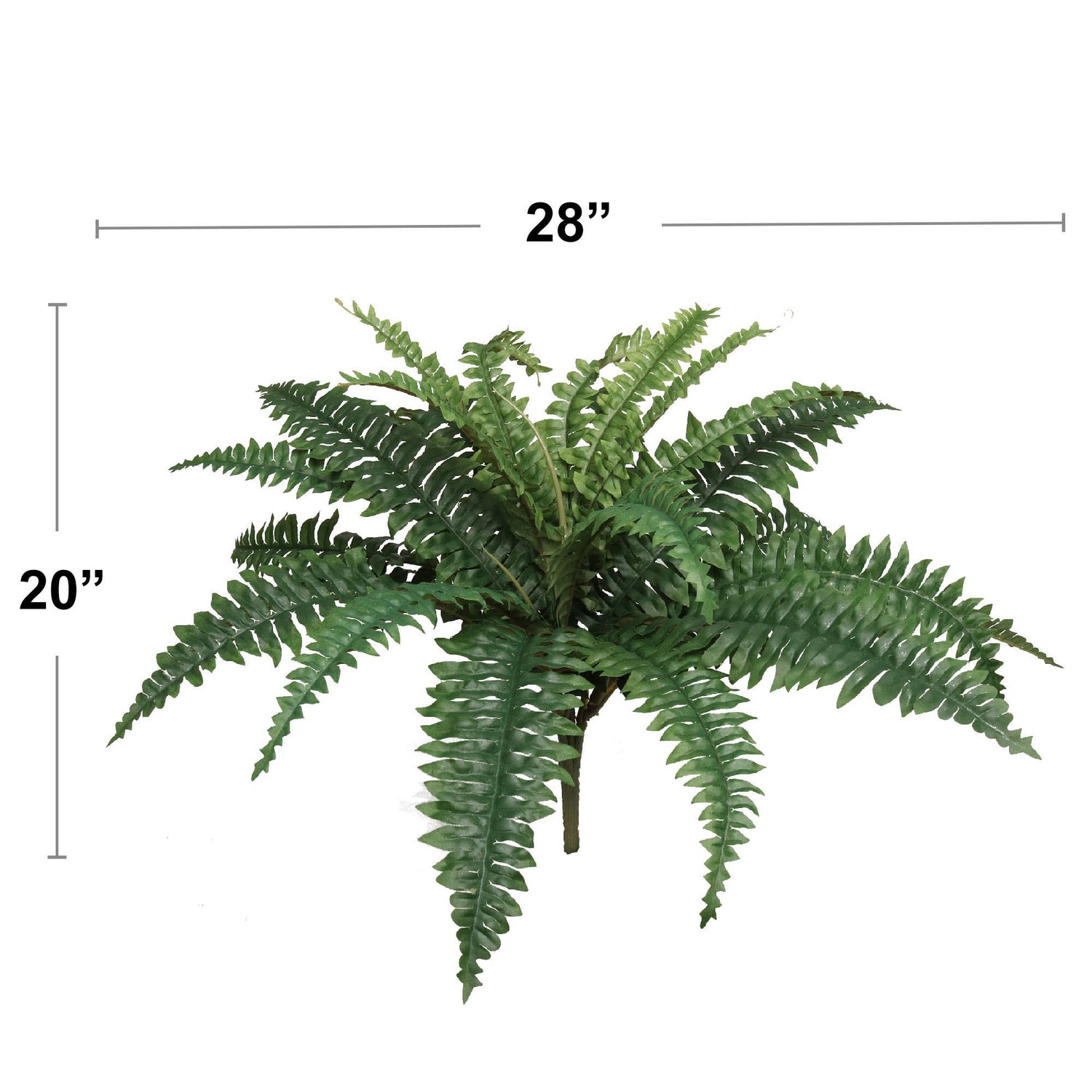 Box of 6: Green Silk Boston Ferns by Floral Home®