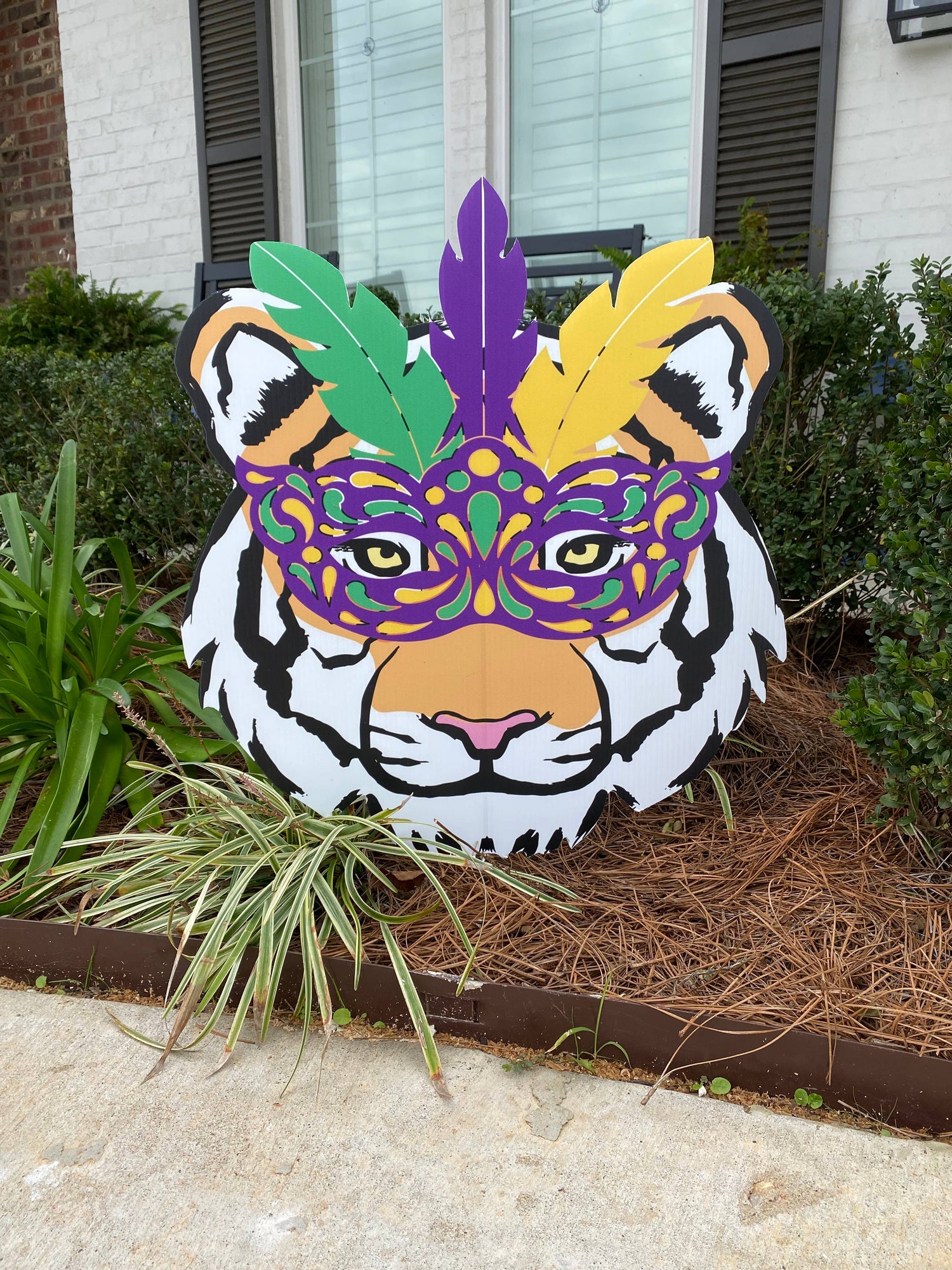 Mardi Gras Tiger