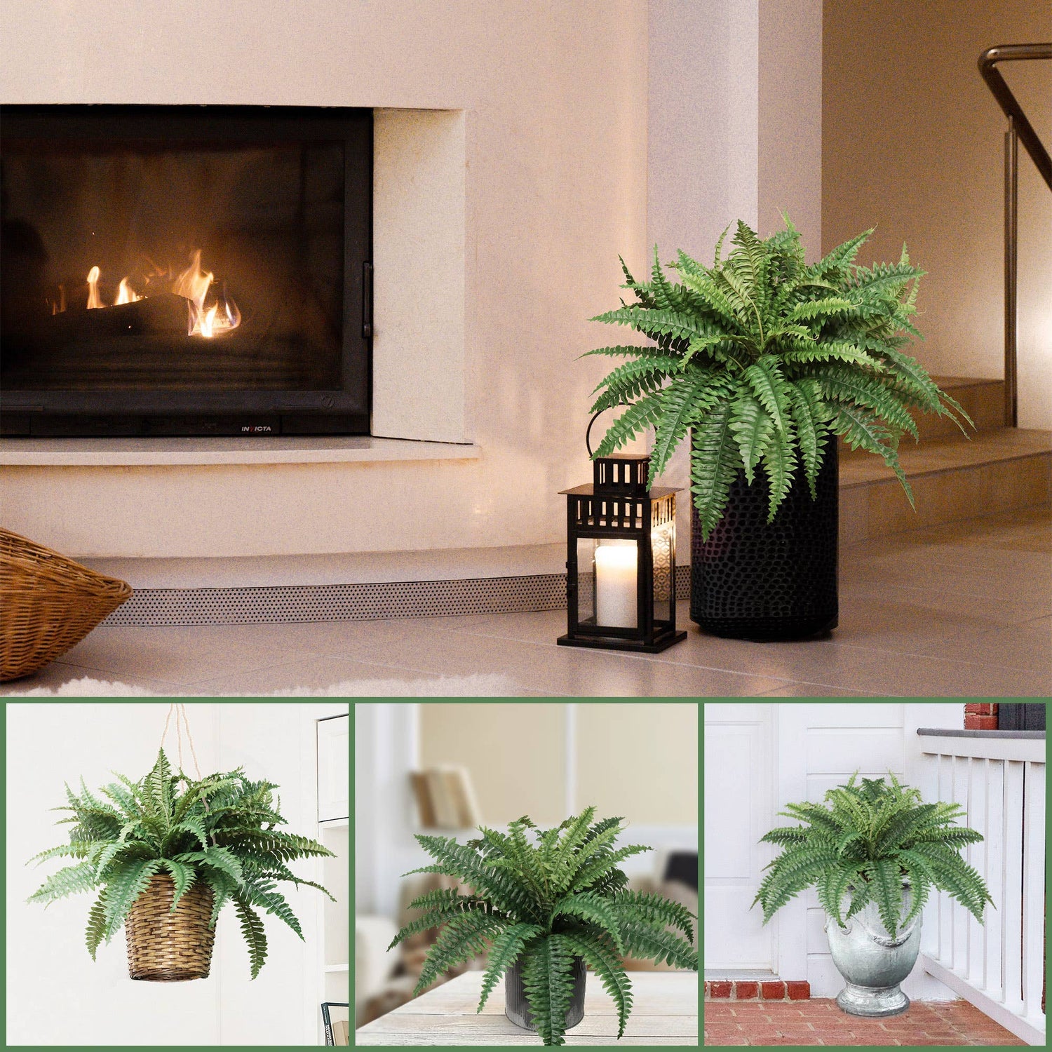 Box of 6: Green Silk Boston Ferns by Floral Home®