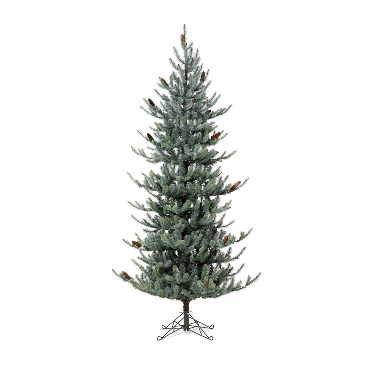 Blue Spruce Slim