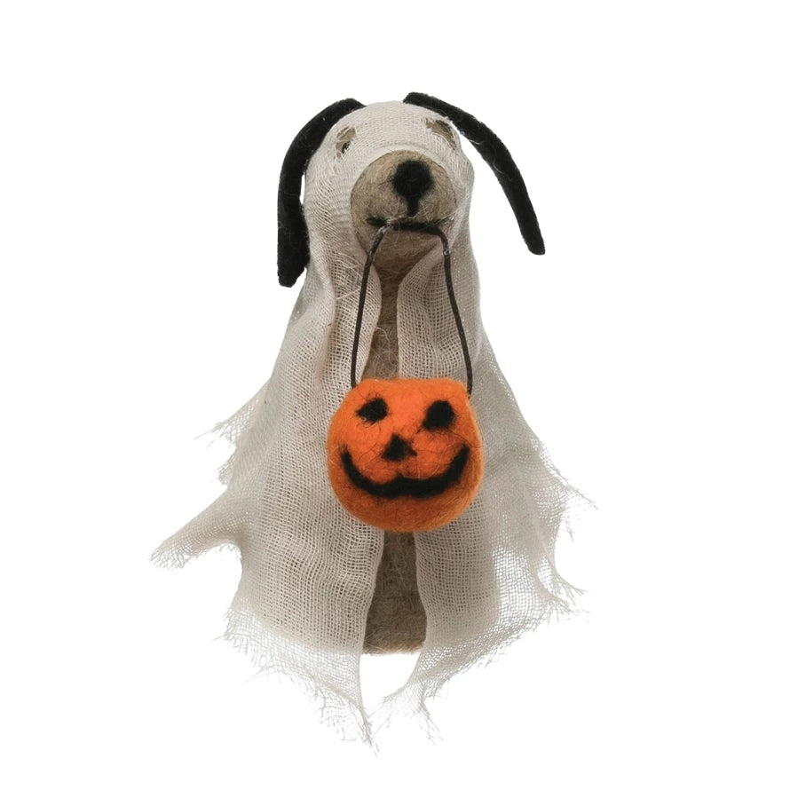 Trick or Treat Dog