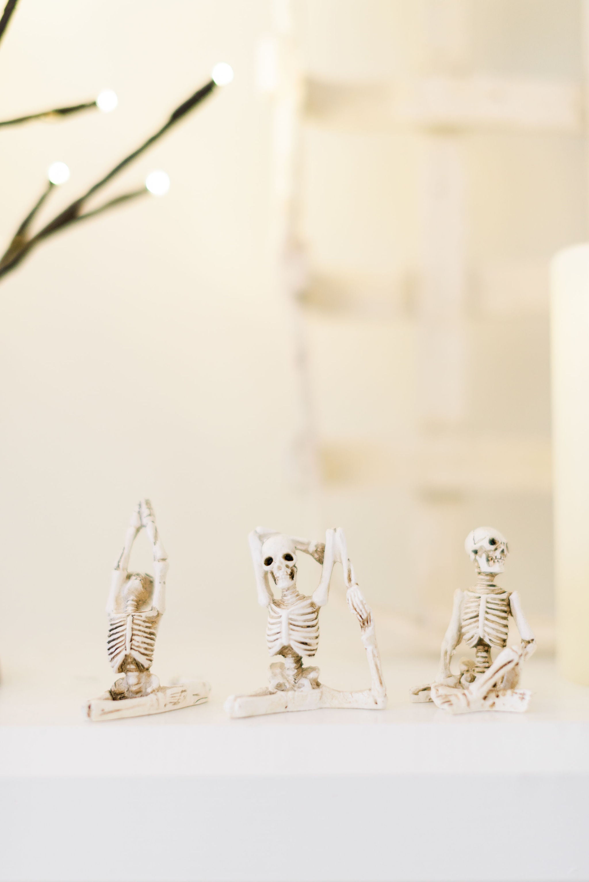 Skeleton in Yoga Pose, set of 5